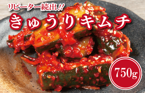 099H3027 【リピーター続出！】こだわりきゅうりキムチ 750g【新鮮野菜 高評価 人気 惣菜 きむち 漬物 韓国グルメ おつまみ 家計応援】