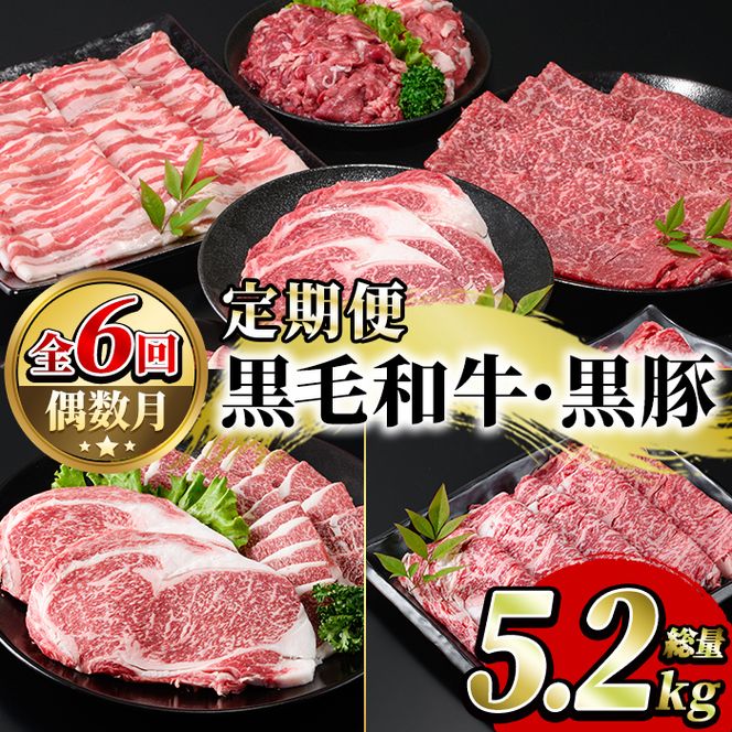 yvszցES6()YјaEؒ(ʖ5.2kg)Y BY Y  Y ؓ T[C Xe[L ؂藎Ƃ ؗ Jr ē Ă ēZbg  o Ă Ԃ ЕzyX^[[zakn042-2