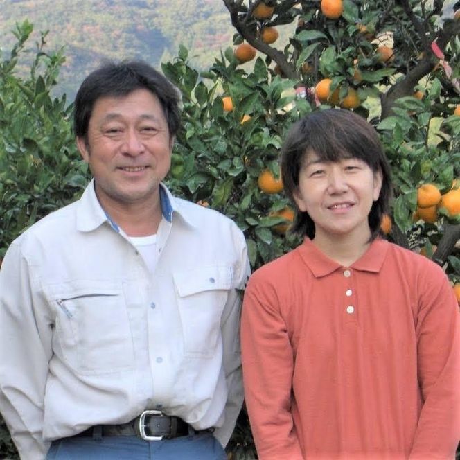 無添加100％みかんジュース2本セット【平武農園】～蛍飛ぶ町から旬の便り～ BX35