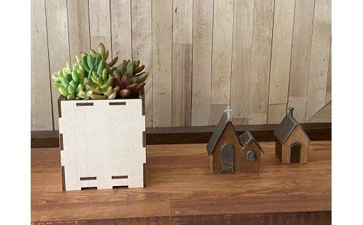 安心やすらぎ共和国 OASIS REPUBLIC -SUNAGAWA BASE- 片桐農園×空知単板工業 『多肉植物寄せ植え体験ギフトセット』 [オアリパ 北海道 砂川市 12260374]