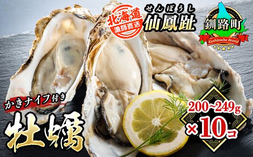 北海道 仙鳳趾名産 牡蠣 200g～249g×10コ＋かきナイフ付き 漁師直送K4-5 【センポウシ : 釧路町の東 厚岸湾の西 カキの名産地】 仙鳳趾 せんぽうし 牡蠣 生食用 殻付き 生牡蠣 絶品 産地直送 殻付き牡蠣 北海道 釧路町 釧路超 特産品