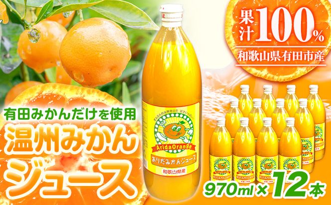 みかん ジュース 和歌山 有田産 100% 温州 みかん ジュース 970ml × 12本 セット 太千青果物《30日以内に発送予定(土日祝除く)》和歌山県 日高町 蜜柑 果汁 100％ ストレート 柑橘 果物 添加物不使用 送料無料---wsh_ts7_30d_23_39000_12h---