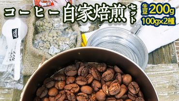 コーヒー 自家焙煎 セット コーヒー豆 200ｇ 2種 × 100ｇ コーヒー ブレンド 生豆 焙煎 初心者 お手軽 ［BN007us］