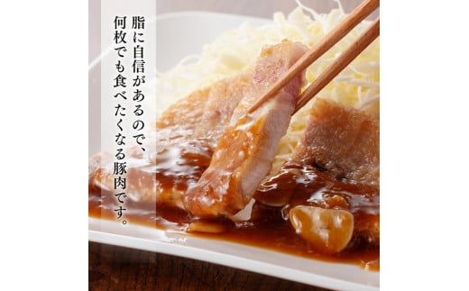 宮崎県産豚肉 小野さんちの豚ロースステーキ 3kg 【 豚肉 豚 肉 宮崎県産 小分け 6パック 】 [E10507]