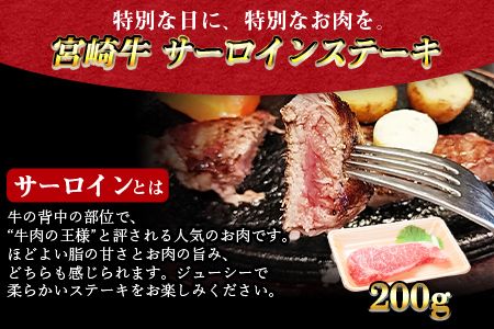 ＜3か月定期便 宮崎牛お試しセット＞翌月末迄に第一回目発送【a0320_em_x3】