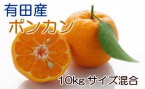 [厳選・春みかん]和歌山産ポンカン10kg（サイズ混合）★2025年1月中旬頃より順次発送 BZ064