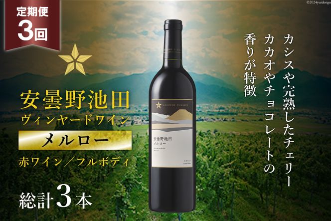 3回 定期便 赤ワイン サッポロ グランポレール 安曇野池田ヴィンヤード「メルロー」750ml 総計3本 [池田町ハーブセンター 長野県 池田町 48110618] 赤 ワイン フルボディ 濃厚 凝縮 お酒 酒