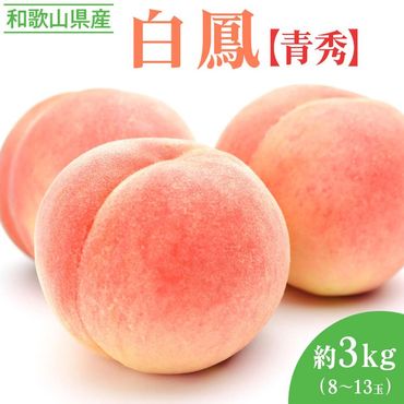 〈先行予約受付〉和歌山県産 白鳳 約3kg(8～13玉入)≪青秀/ご家庭用/訳あり≫ | 産地直送 桃 果物 フルーツ もも ※着日指定不可 ※離島への配送不可 ※2024年6月下旬頃～7月中旬頃に順次発送予定