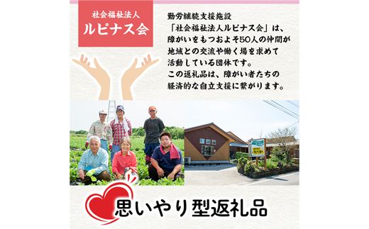 【08592】《思いやり型返礼品・先行予約受付中！2021年9月中旬から順次発送》みんなで作った煎り落花生「ルピナッツ」(計600g・200g×3袋)【ルピナス会】