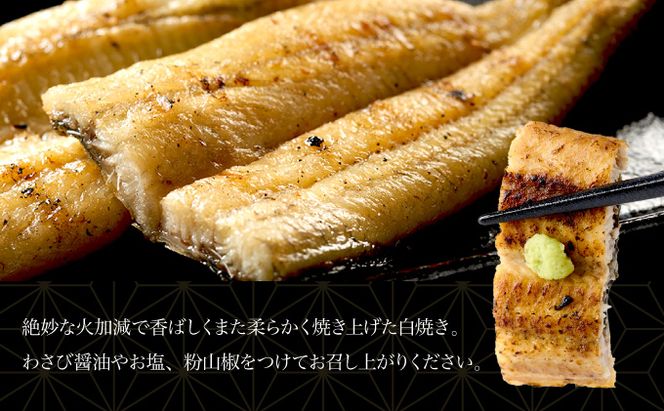 【ふるさと納税】うなぎ蒲焼き 白焼き セット 2種類 各1本(約190g～220g) 合計2本 タレ・わさび・醤油付き ウナギ 鰻 初音 国産 高知県産 魚 魚介類 冷凍 送料無料　hn089