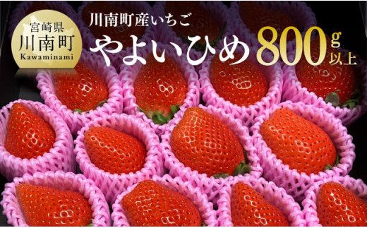 川南町産いちご「やよいひめ」計800g[ 先行予約 期間限定 果物 イチゴ 苺 フルーツ ] [D09801]