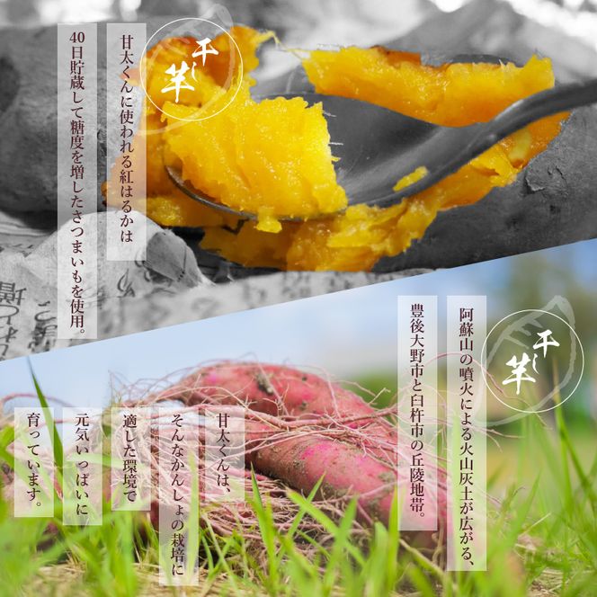 【F02012】【訳あり】ご家庭用　甘太くん干し芋200ｇ×5袋