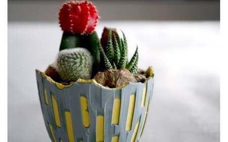 多治見市×春日井市コラボ 【美濃焼】 陶芸家「北川和喜」 重色目 深鉢S × 【日本有数のサボテン産地】 春日井市の名店 後藤サボテン