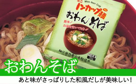 G9-04 ミニノンカップ麺 おわん麺セット20食（2種×10食）