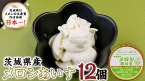 茨城県産メロンあいす 12個 アイス デザート めろん 贈り物 カップ 冷凍 [AE021us]