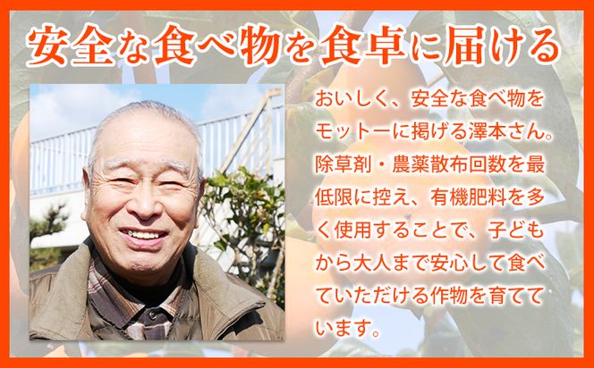 【2026年先行予約】T字枝付つるし柿用生渋柿 4.5～5kg ふるさと農園《10月中旬-11月上旬頃出荷予定》---wsh_fst4_p1011_23_20000_5kg---
