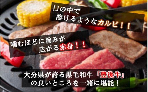 【黒毛和牛】 豊後牛／カルビ＆赤身 焼肉食べ比べセット（各150g×2P）_2393R