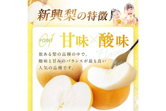 【先行予約／数量限定700】新興梨（訳あり） 5kg （7～12玉）（2026年9月下旬～発送）　DE00159