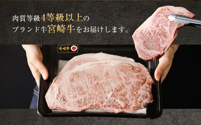 ＜特撰宮崎牛ロースステーキ 500g＞2025年2月より順次出荷します【c507_hn_x1】