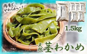 やわらか天然茎わかめ1.5kg（250g×6P）_2229R