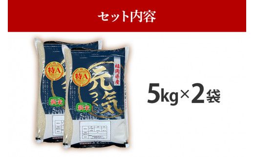 令和7年産　福岡県産ブランド米「元気つくし」白米10kg【11月上旬頃より順次出荷予定】