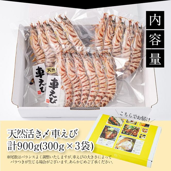 天然 活き〆車エビ 生食用 (計900g・300g×3袋) エビ 海老 車海老 冷凍 刺身 さしみ 天ぷら 塩焼 バーベキュー 国産 大分県産 大分県 佐伯市 やまろ渡邉 【DL19】【鶴見食賓館】