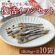 復活イワシ(10パック) おやつ お菓子 いわし イワシ 鰯 ウルメイワシ 丸干し カルシウム セット 詰め合わせ【下園薩男商店】a-13-36-z