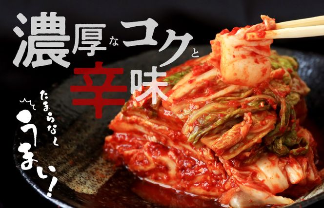 099Z247 定期便 白菜キムチ 1kg × 6回【毎月配送コース 高評価 人気 惣菜 きむち 漬物 韓国グルメ おつまみ 家計応援 お楽しみ 福袋】