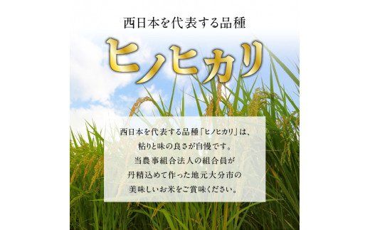 【B01024】【定期便】丹生米の里 丹川のお米 ヒノヒカリ白米 5kg×12回お届け定期便