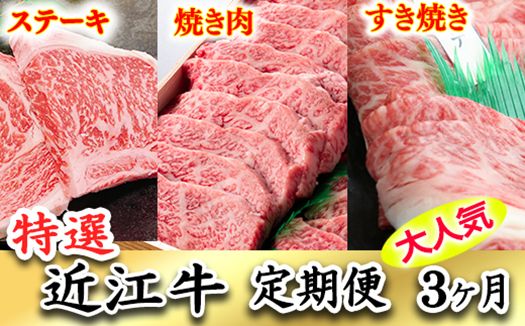 令和6年12月31日までの期間限定極上近江牛500g　食べ方色々！　アソート定期便【ZZ36SM】