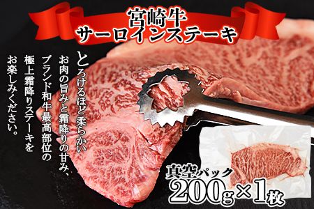 ＜宮崎牛サーロインステーキ ＆ 宮崎牛肩（ウデ）すき焼き肉セット 合計500g＞翌月末迄に順次出荷【b0381_ty】