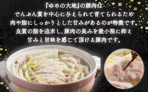 【12/20まで年内発送】【平取町産四元豚】ゆめの大地豚バラスライス　200g×10パック計2ｋｇ ふるさと納税 人気 おすすめ ランキング 豚肉 肉 豚バラ 北海道 平取町 送料無料 BRTD005