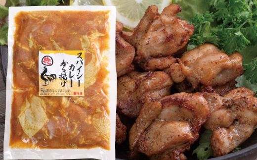 徳さんのトマトバジル唐揚げ＆スパイシーカレー唐揚げ yj023