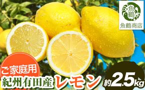 【ご家庭用訳あり】紀州 有田産 レモン 約 2.5kg 魚鶴商店《3月上旬-3月下旬頃出荷》和歌山県 日高町 柑橘 レモン れもん フルーツ 檸檬---wsh_uot237_3j3g_26_12000_25---