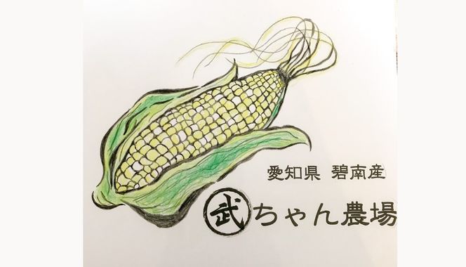 【2026年発送】朝採り直送 メロンより甘い 生とうもろこし“にっこりコーン” 10本　H095-026