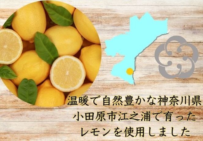 160-1952 西湘菓子工房樫の樹　江ノ浦れもん10個入りギフト 【 お菓子 スイーツ 神奈川県 小田原市 】