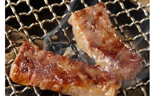 おおいた独り焼肉セット計700g/豊後牛中落ちカルビ,ホルモンほか_1158R