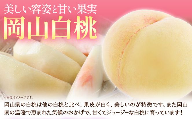 	【2027年発送先行予約】岡山産白桃とピオーネの詰合わせ もも 桃 白桃 葡萄 ブドウ ぶどう ピオーネ フルーツ セット  《7月中旬-8月上旬頃出荷(土日祝除く)》  晴れの国おかやま館 フルーツ 果物 果実 岡山県 笠岡市---A-109c_2027---