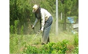 空き家、空き地の草刈サービス（年1回）- シルバー人材センター 除草 草刈り 写真報告 代行サービス 熊本県 甲佐町