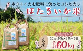 【訳あり】ほたるいか米（玄米20kg）×3回 計60kg【3ヶ月定期便】