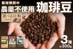 【栽培期間中農薬不使用】自家焙煎コーヒー豆　お試しセット（100gx3種）八月の犬　珈琲豆　ドリップ　飲み比べ　コホペ　HA00016