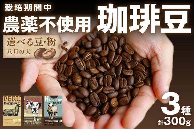 栽培期間中農薬不使用】自家焙煎コーヒー豆 お試しセット