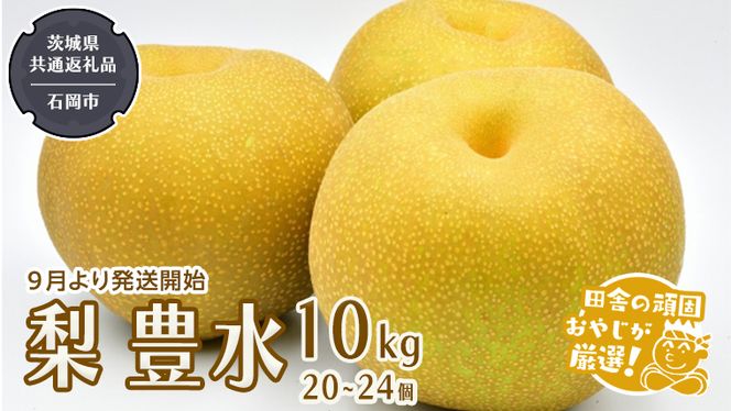 梨 豊水 10kg 20～24個【9月から発送開始】（茨城県共通返礼品：石岡市産）田舎の頑固おやじが厳選！ [BI305-NT]