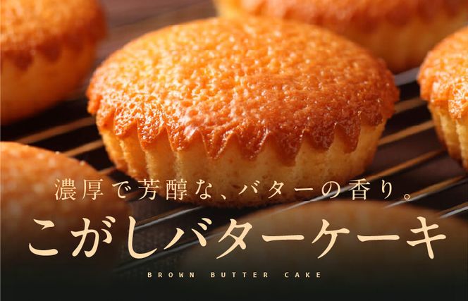 005A676 【明治25年創業】純度115％ 特製こがしバターケーキ 12個【スイーツ 洋菓子 工場直販 個包装 小分け おためし 泉州名産 スピード発送】