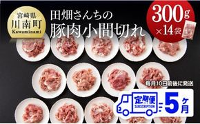 【5ヶ月定期便】宮崎県産豚肉　川南ポーク小間切れ4.2kg(300g×14パック) 【 肉 豚 豚肉 】 [B05003t5]