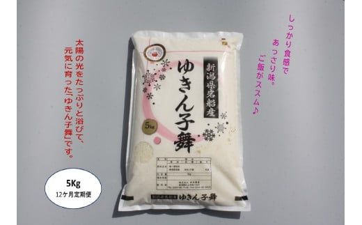 【令和6年産米】【12ヶ月定期便】ゆきん子舞 白米 5kg×12ヶ月  1039023 お米 米 精米 ご飯 ごはん