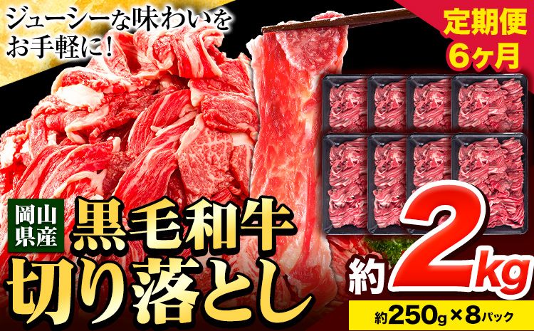 牛肉 肉 黒毛和牛 切り落とし 訳あり 大容量 小分け[定期便] 2kg 1パック 250g 6回 [お申込月の翌月より発送]岡山県産 岡山県 笠岡市 お肉 にく カレー 牛丼 切り落し 切落し---223_f743tei_23_120000_12kg---