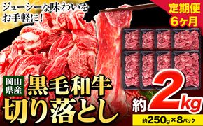 牛肉 肉 黒毛和牛 切り落とし 訳あり 大容量 小分け【定期便】 2kg 1パック 250g 6回 《お申込月の翌月より発送》岡山県産 岡山県 笠岡市 お肉 にく カレー 牛丼 切り落し 切落し---223_f743tei_23_120000_12kg---