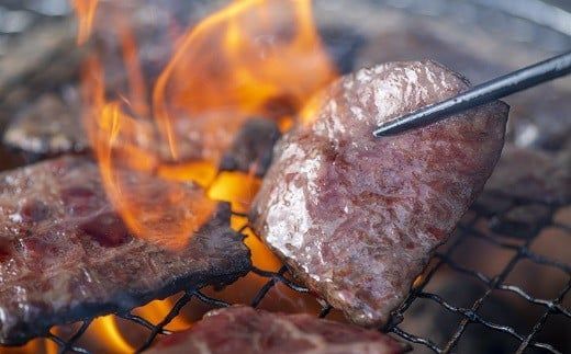 牛肉 焼き肉 豊後・米仕上牛もも、カルビ焼肉食べ比べ（500g） 国産 和牛 九州産 肉 モモ カルビ D-20