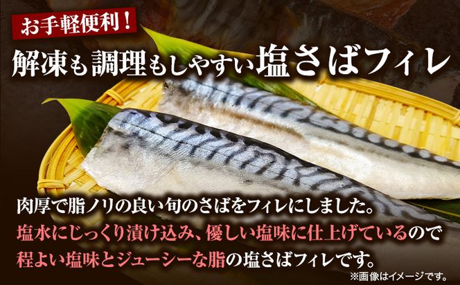 塩さばフィレ8枚入(真空パック入) 魚鶴商店《30日以内に出荷予定(土日祝除く)》 和歌山県 日高町 さば 塩サバ 鯖---wsh_futssbf_30d_23_11000_8p---